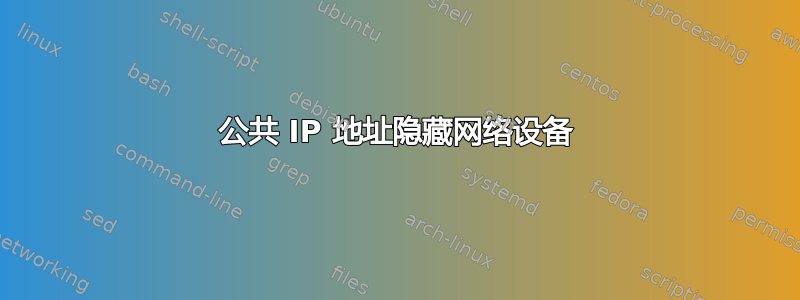 公共 IP 地址隐藏网络设备