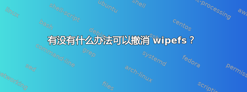 有没有什么办法可以撤消 wipefs？