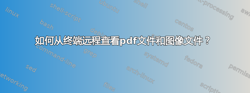 如何从终端远程查看pdf文件和图像文件？