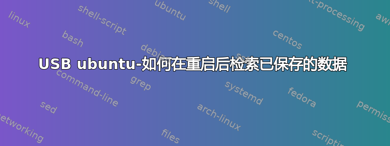 USB ubuntu-如何在重启后检索已保存的数据