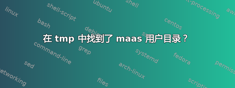 在 tmp 中找到了 maas 用户目录？