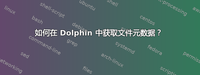 如何在 Dolphin 中获取文件元数据？