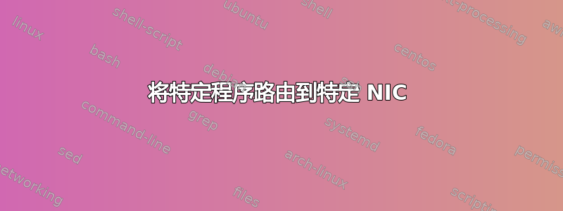 将特定程序路由到特定 NIC