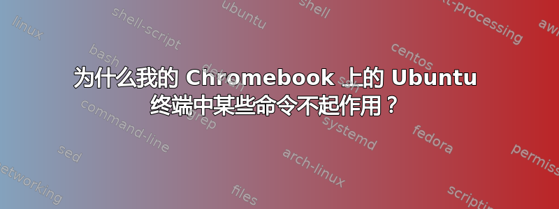 为什么我的 Chromebook 上的 Ubuntu 终端中某些命令不起作用？