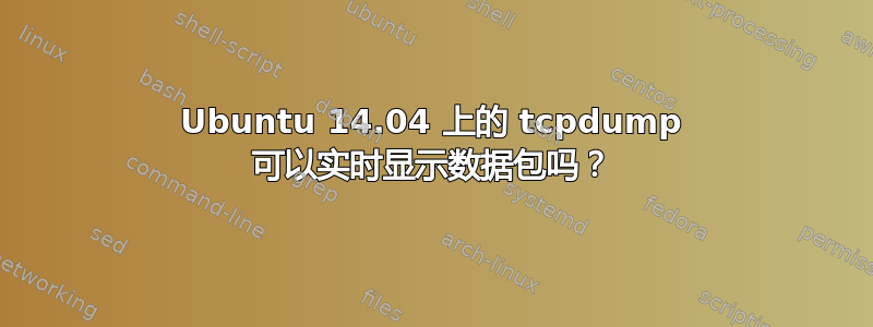 Ubuntu 14.04 上的 tcpdump 可以实时显示数据包吗？