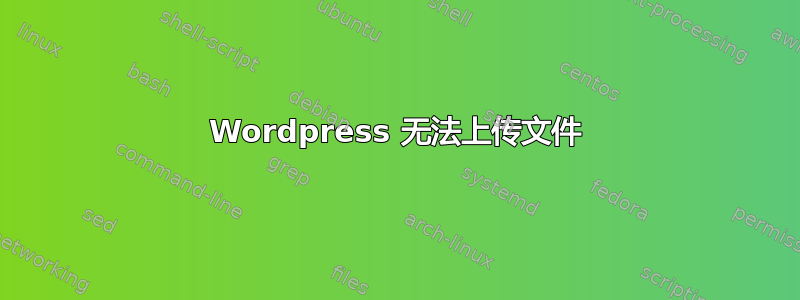 Wordpress 无法上传文件