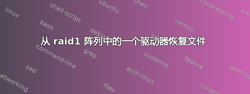 从 raid1 阵列中的一个驱动器恢复文件