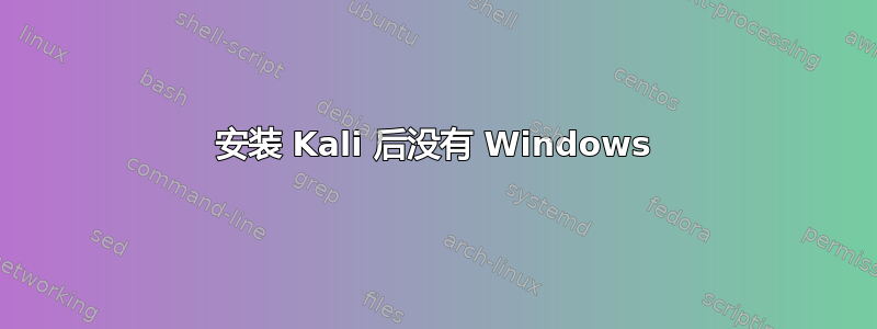 安装 Kali 后没有 Windows