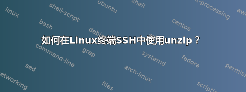 如何在Linux终端SSH中使用unzip？