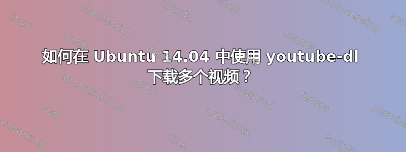 如何在 Ubuntu 14.04 中使用 youtube-dl 下载多个视频？