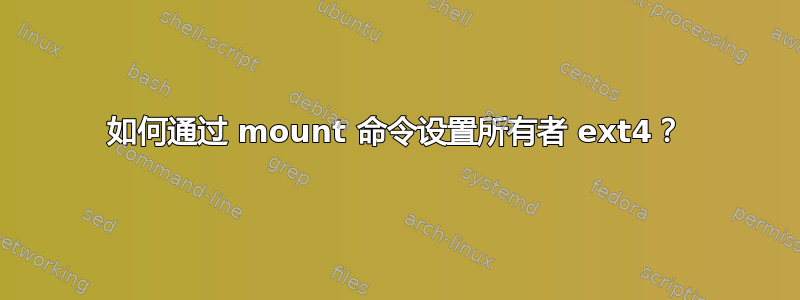 如何通过 mount 命令设置所有者 ext4？