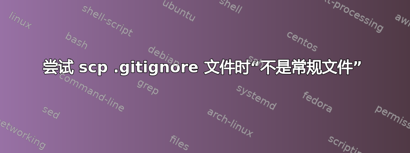 尝试 scp .gitignore 文件时“不是常规文件”