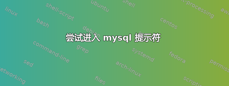 尝试进入 mysql 提示符