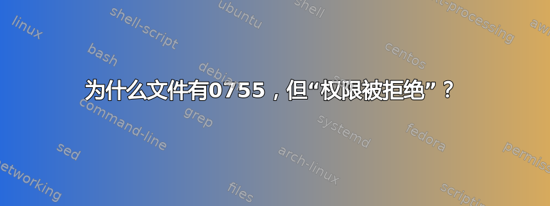 为什么文件有0755，但“权限被拒绝”？