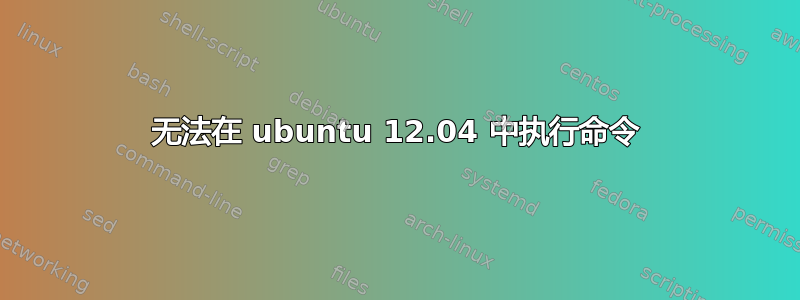 无法在 ubuntu 12.04 中执行命令