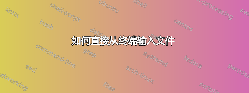 如何直接从终端输入文件