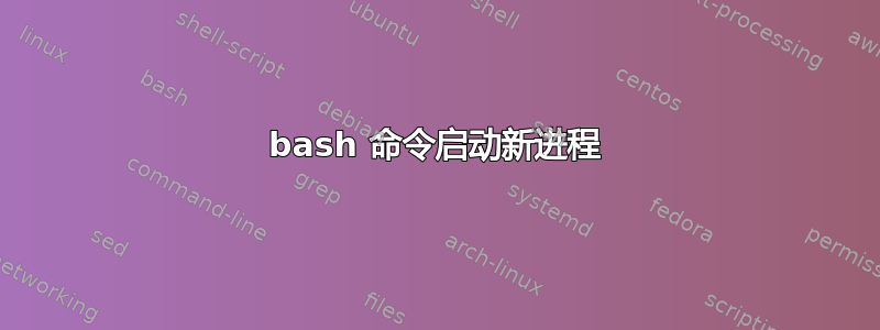 bash 命令启动新进程