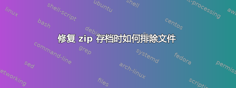 修复 zip 存档时如何排除文件