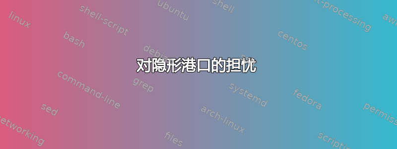 对隐形港口的担忧