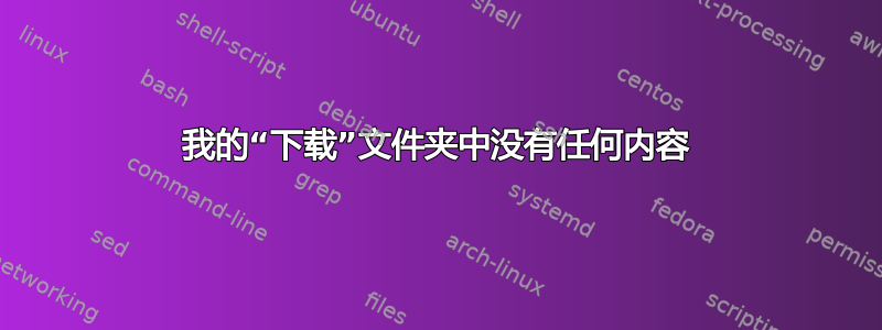 我的“下载”文件夹中没有任何内容