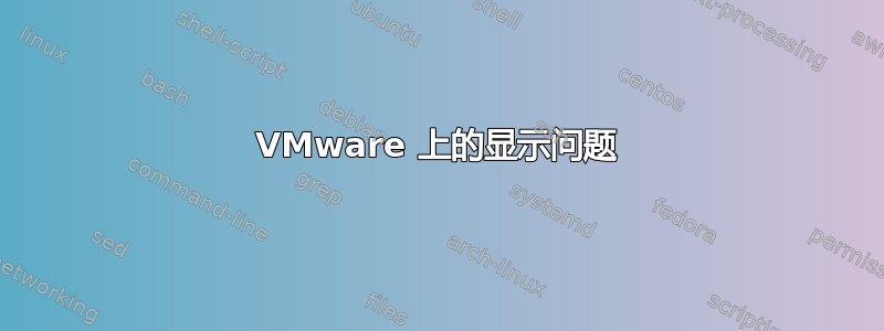 VMware 上的显示问题