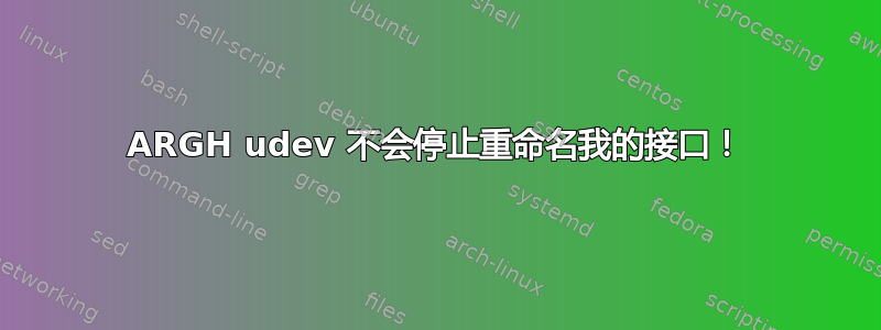 ARGH udev 不会停止重命名我的接口！