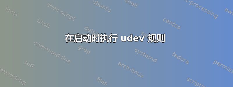 在启动时执行 udev 规则