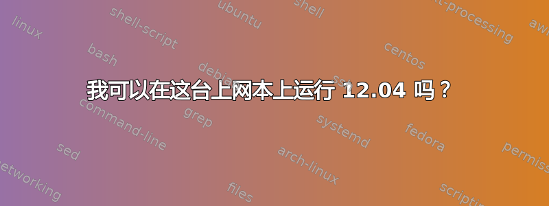 我可以在这台上网本上运行 12.04 吗？