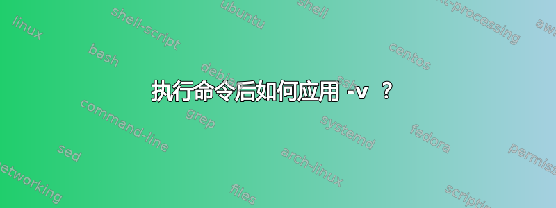 执行命令后如何应用 -v ？