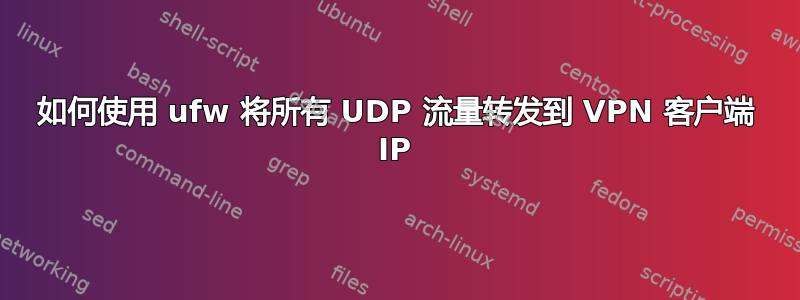 如何使用 ufw 将所有 UDP 流量转发到 VPN 客户端 IP