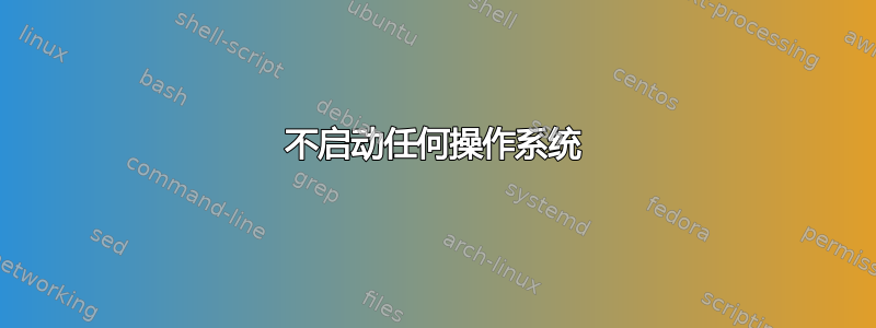 不启动任何操作系统