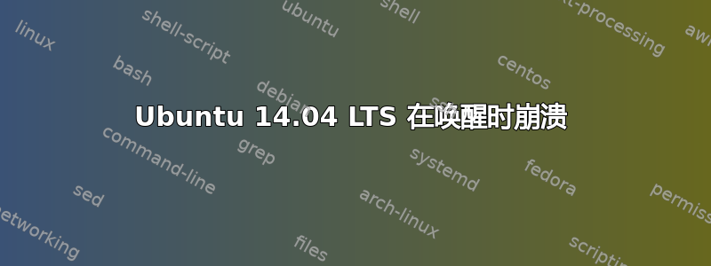 Ubuntu 14.04 LTS 在唤醒时崩溃