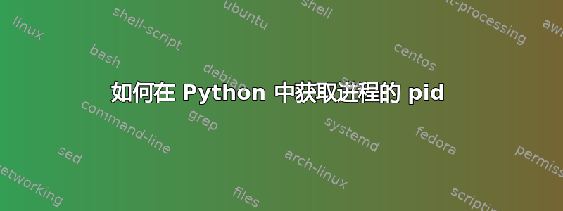 如何在 Python 中获取进程的 pid