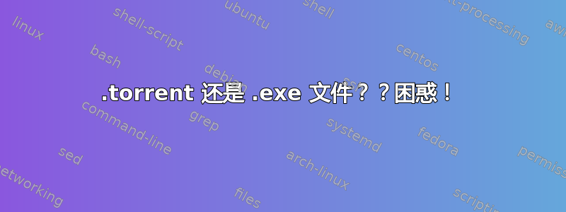 .torrent 还是 .exe 文件？？困惑！