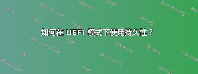 如何在 UEFI 模式下使用持久性？