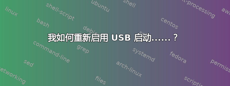 我如何重新启用 USB 启动......？