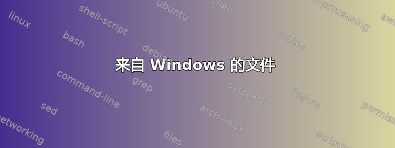 来自 Windows 的文件