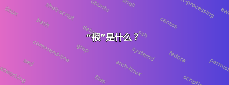 “根”是什么？