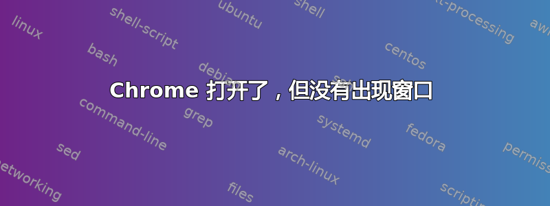 Chrome 打开了，但没有出现窗口