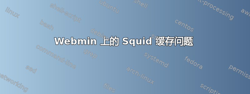 Webmin 上的 Squid 缓存问题