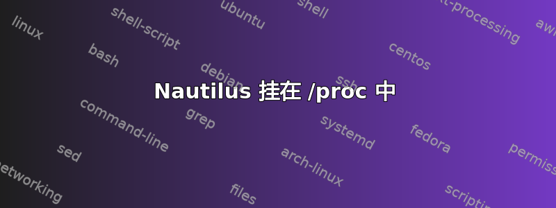 Nautilus 挂在 /proc 中