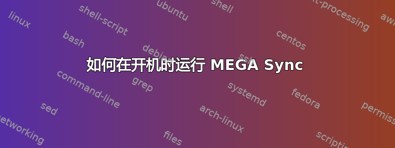 如何在开机时运行 MEGA Sync