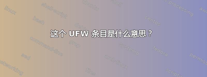 这个 UFW 条目是什么意思？