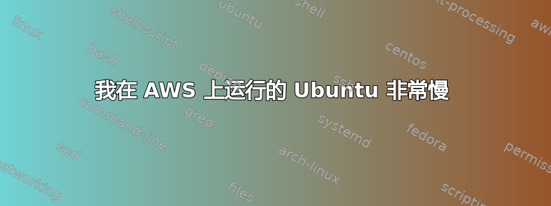 我在 AWS 上运行的 Ubuntu 非常慢