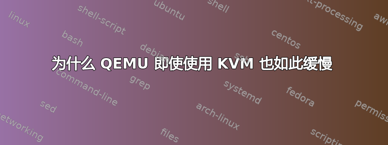 为什么 QEMU 即使使用 KVM 也如此缓慢