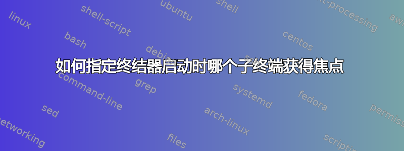 如何指定终结器启动时哪个子终端获得焦点