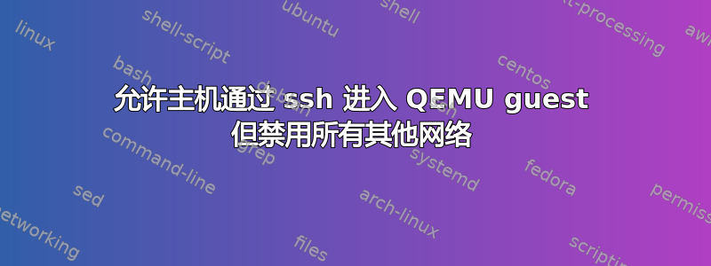 允许主机通过 ssh 进入 QEMU guest 但禁用所有其他网络