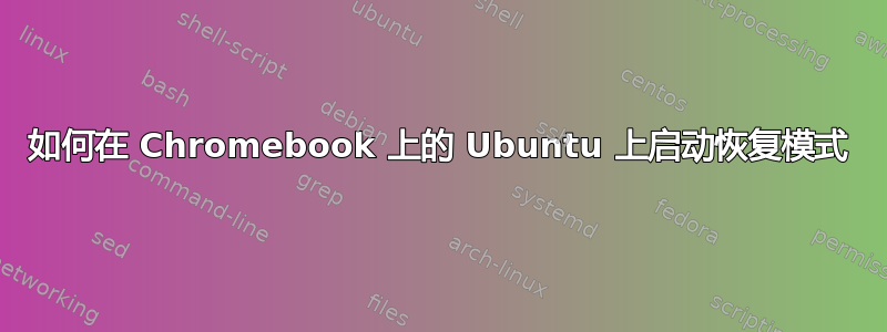 如何在 Chromebook 上的 Ubuntu 上启动恢复模式