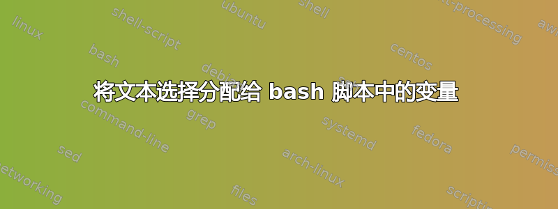 将文本选择分配给 bash 脚本中的变量