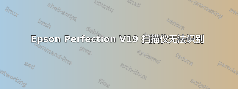 Epson Perfection V19 扫描仪无法识别